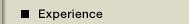 Experience
