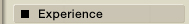 Experience